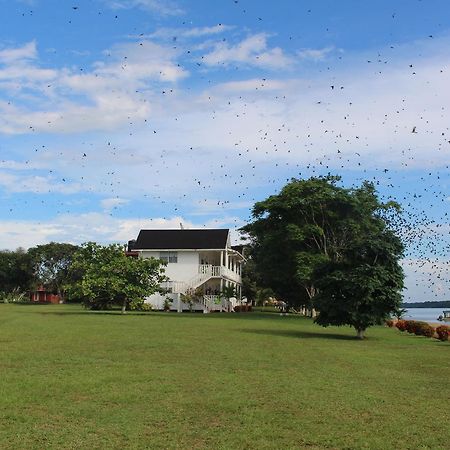 Baganara Island Resort Bartica 外观 照片